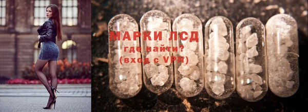 стаф Козловка