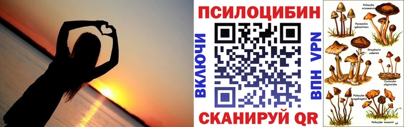 Галлюциногенные грибы GOLDEN TEACHER  Купить где  Ярославль 
