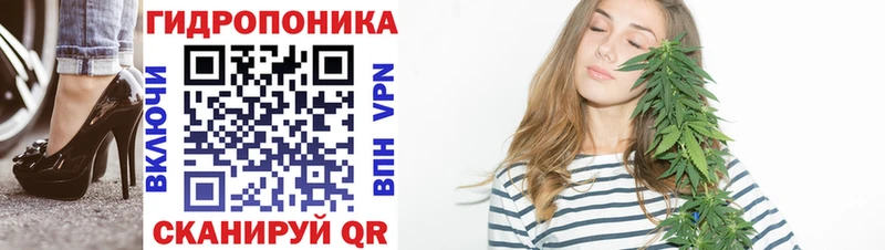 Купить где  Ярославль  Канабис OG Kush 